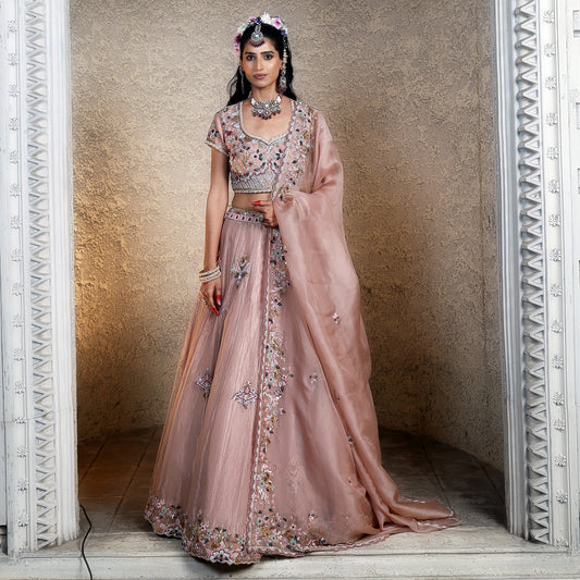 Stripe Tissue Lehenga
